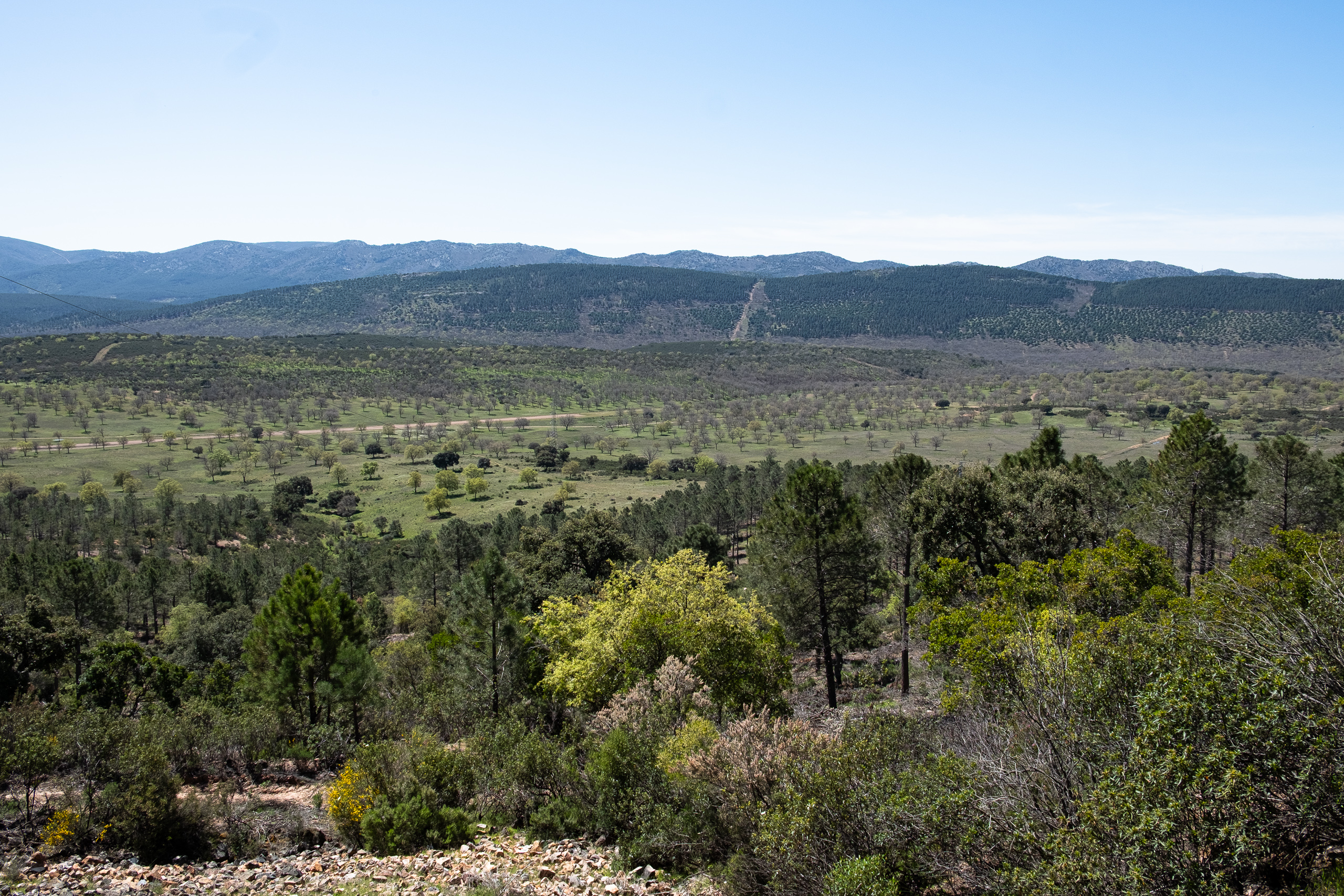 Panoramablick ins grüne Tal auf der Via Verde